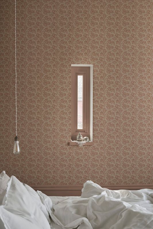 Coral Terracotta