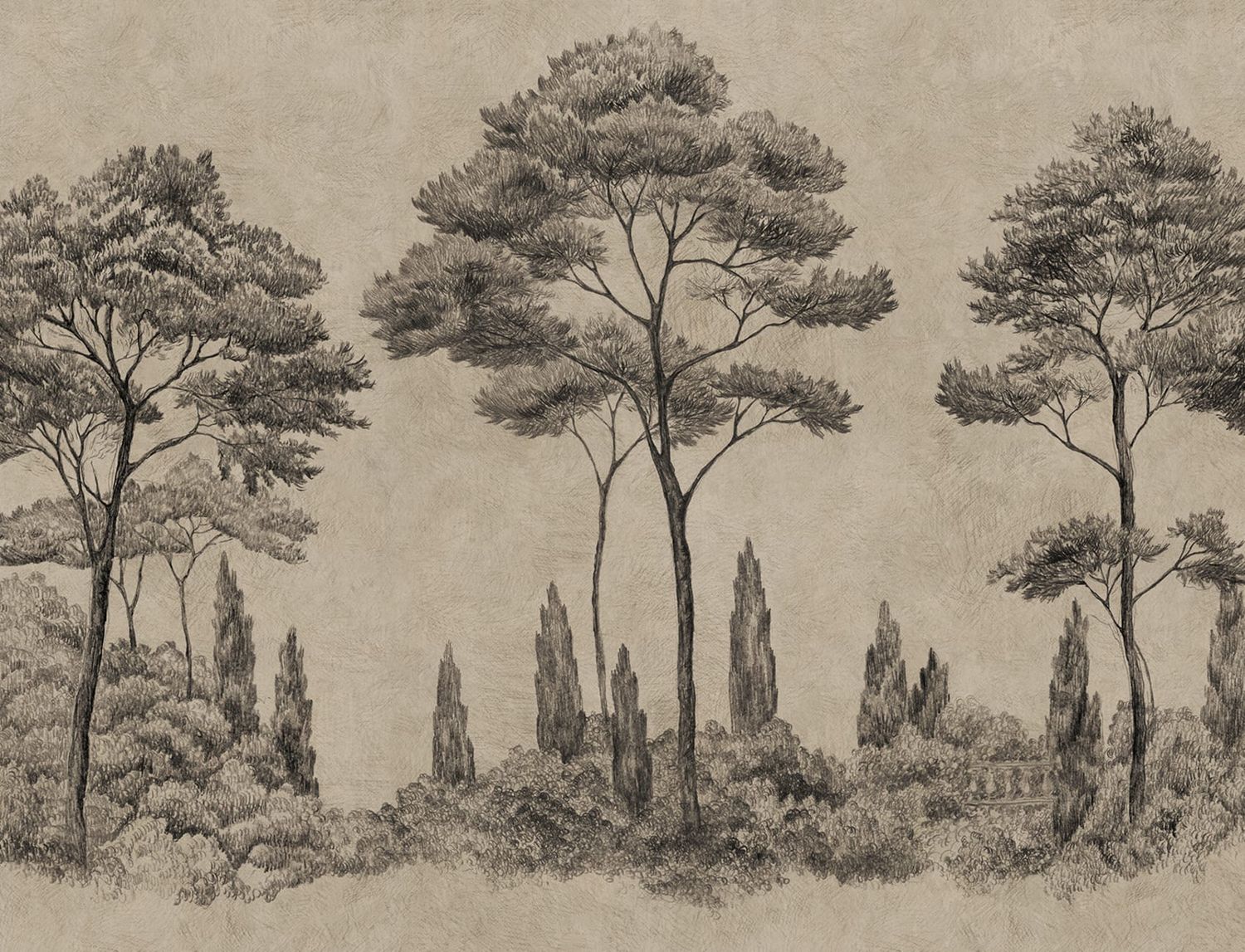 Andrea Graphite