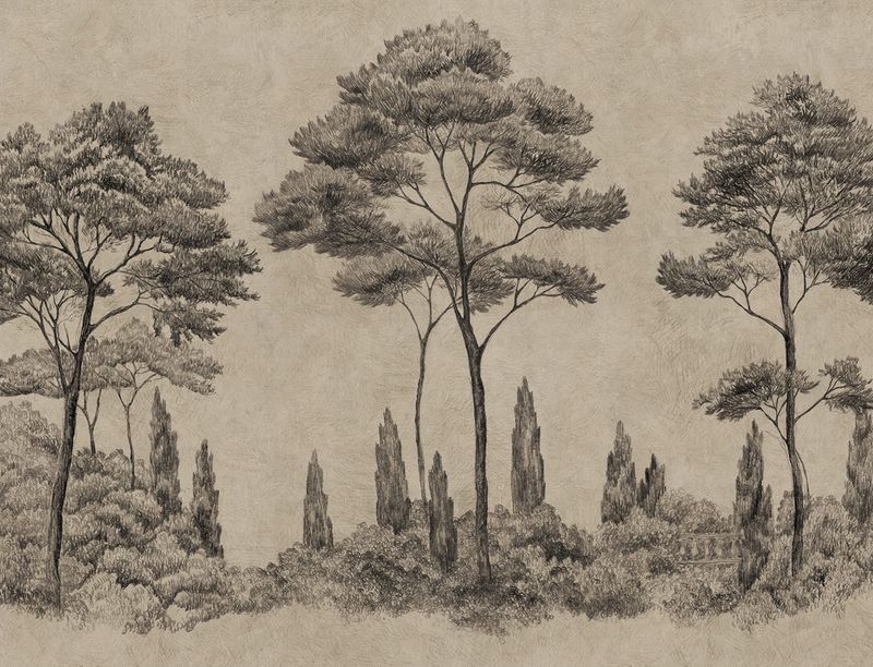 Andrea Graphite
