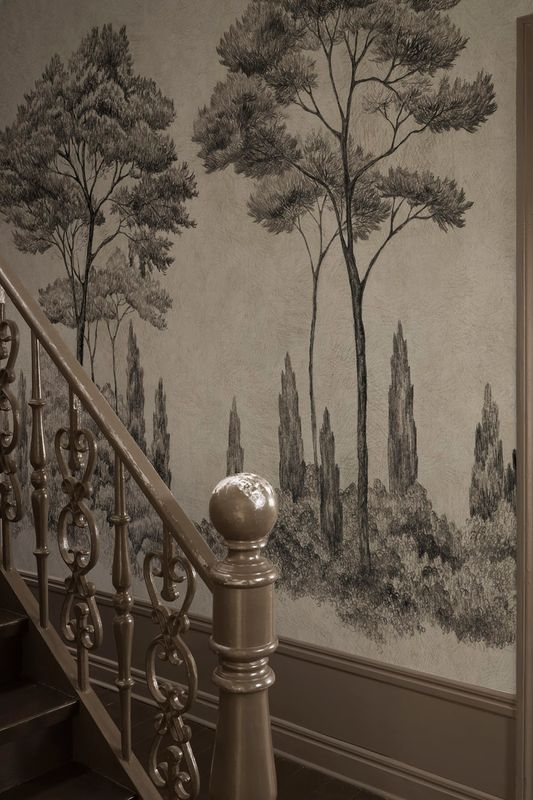 Andrea Graphite