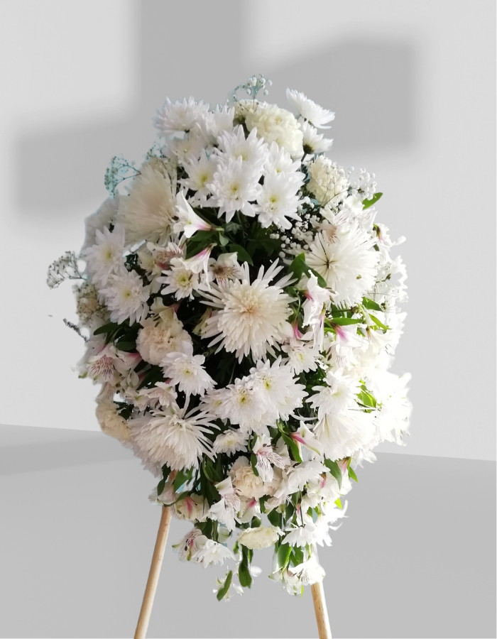 Spray Deluxe White