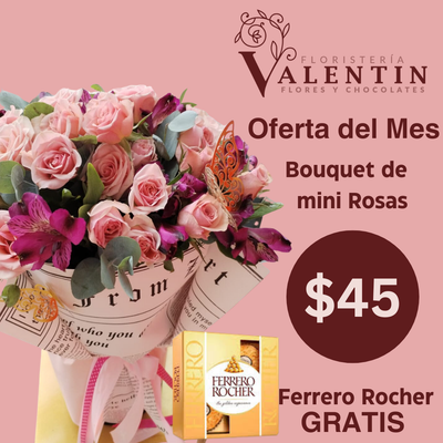 Ofertas del mes