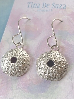 1/2 Kina Earrings (origin: Whangarei Heads, NZ)
