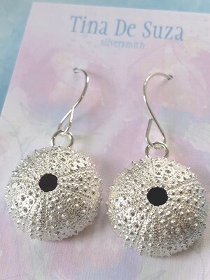 3/4 Kina Earrings (origin: Whangarei Heads, NZ)