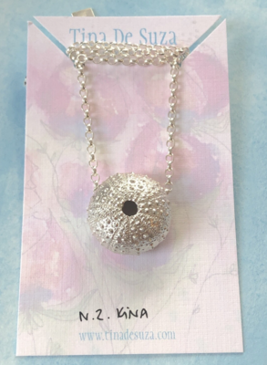sterling: Aotearoa seashell series