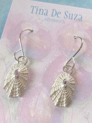 Limpet Shell Earrings (origin: Takapuna Beach, NZ)