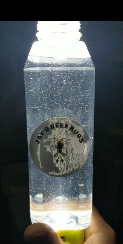 4 Species Copepod Blend 16oz