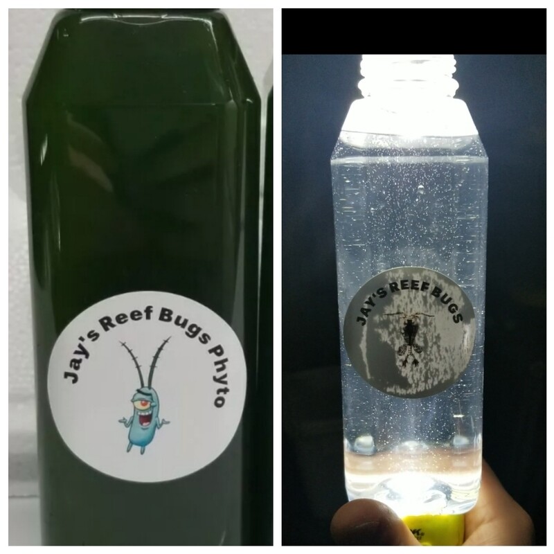 Live 4 species copepod Blend 80oz - 8 Strain phytoplankton 80oz Refugium seeding pack Bulk