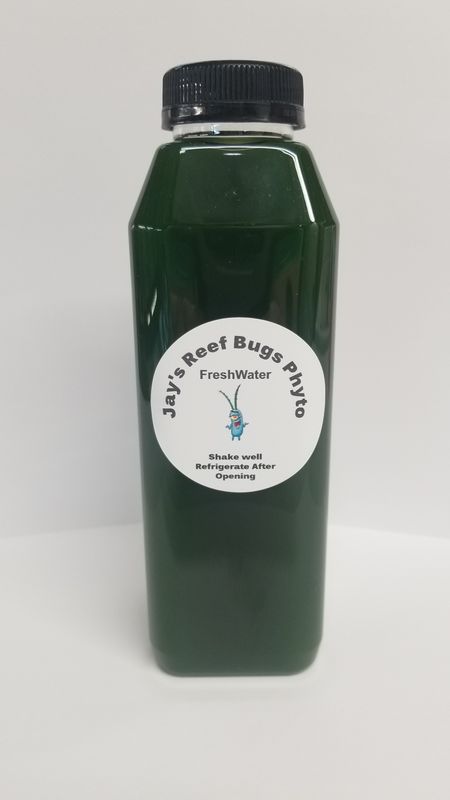 Freshwater Phytoplankton Concentrated Blend