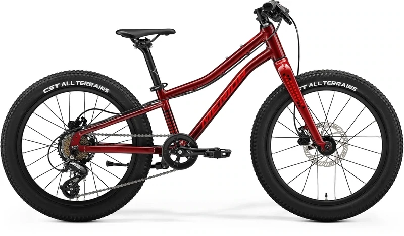 Merida MATTS J.20+