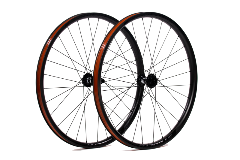 STEALTH Beach / Enduro 29er Carbon