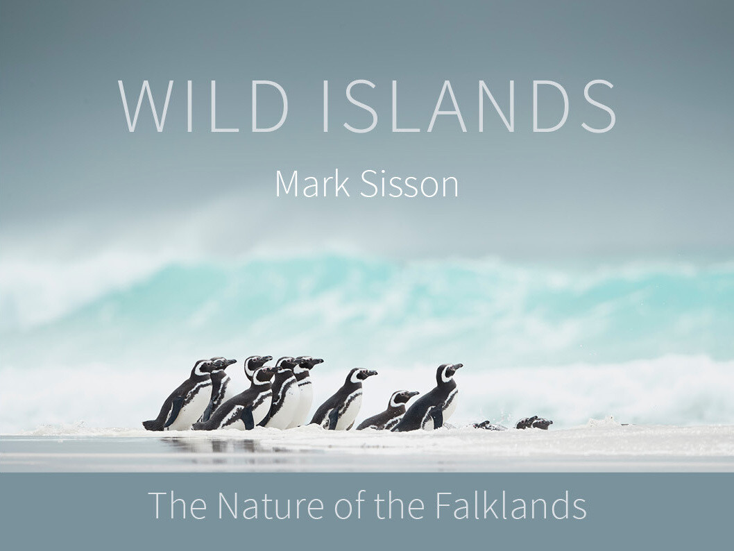 Wild Islands: The Nature of the Falklands