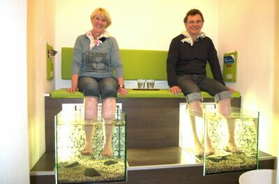 Fisch Spa