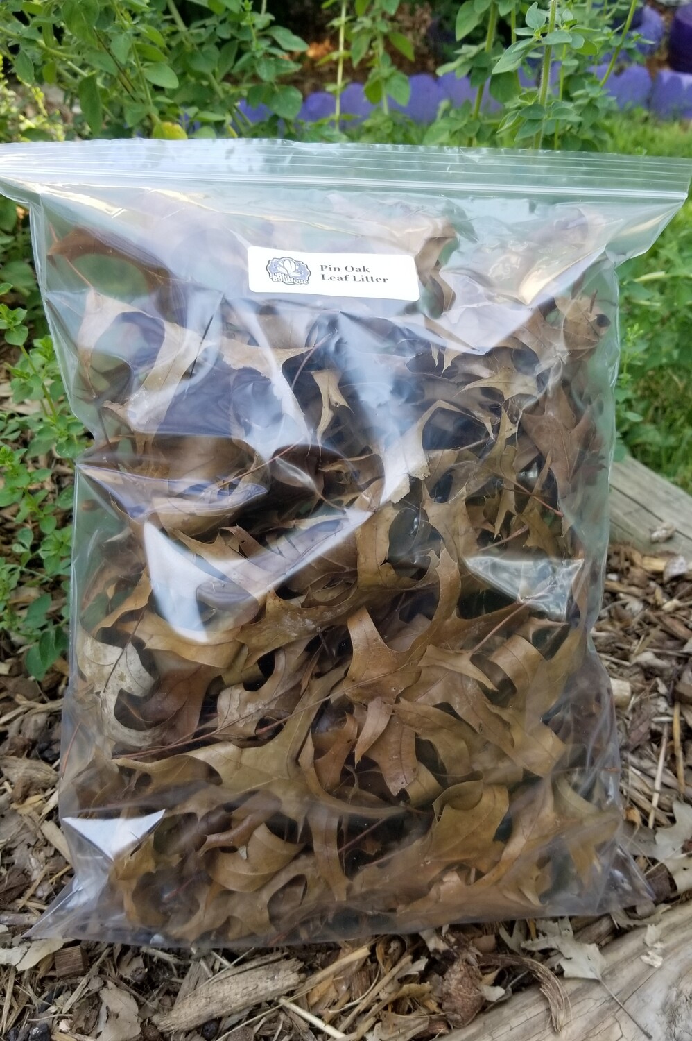E-commerce Product Image