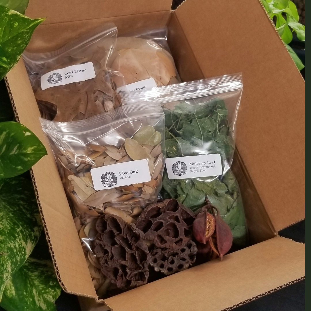 E-commerce Product Image