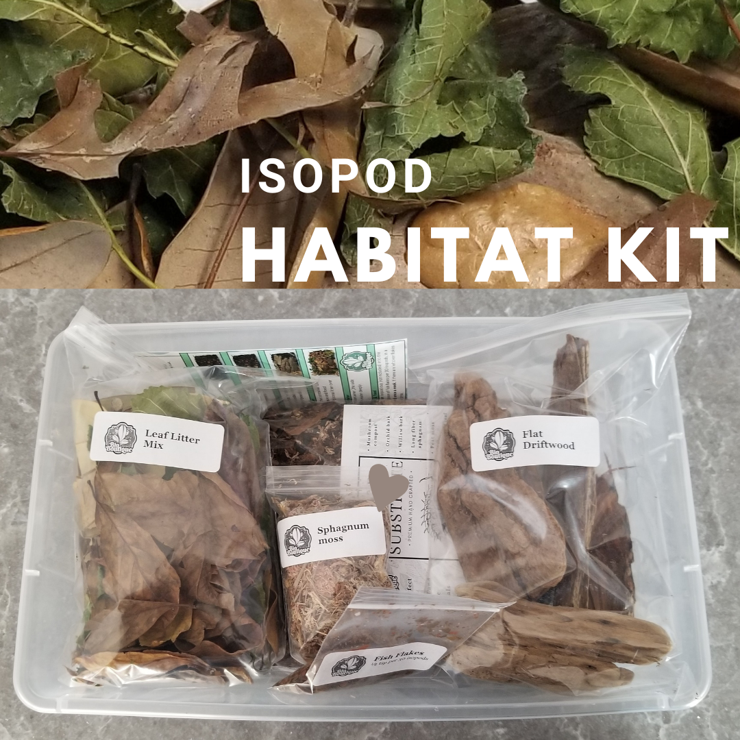 E-commerce Product Image