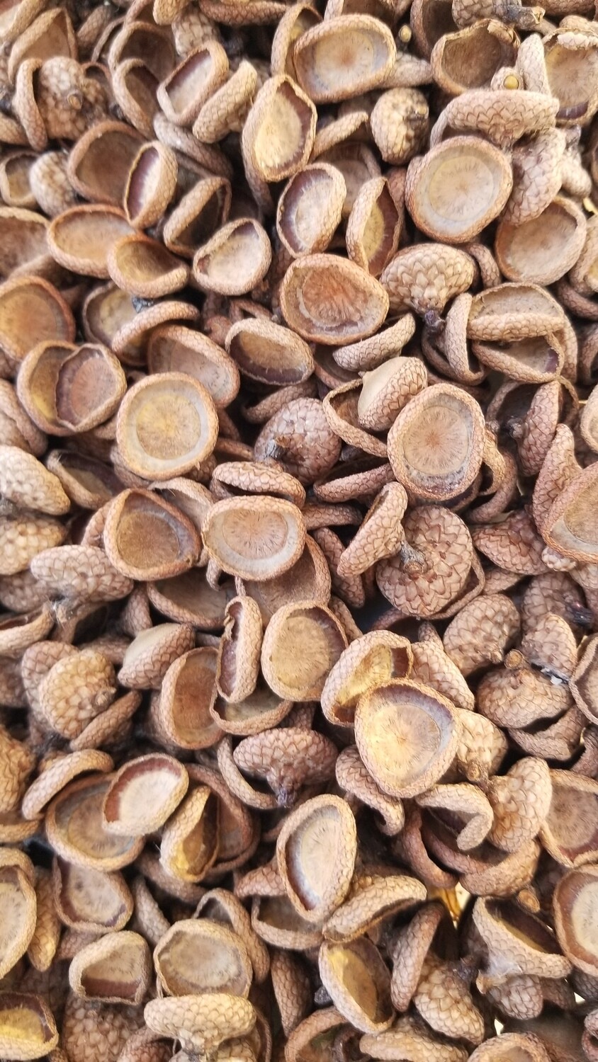E-commerce Product Image