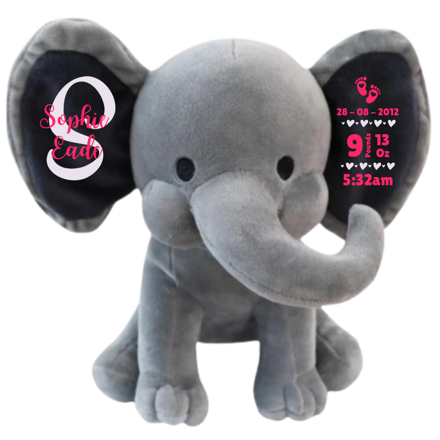 Birth Details Elephant