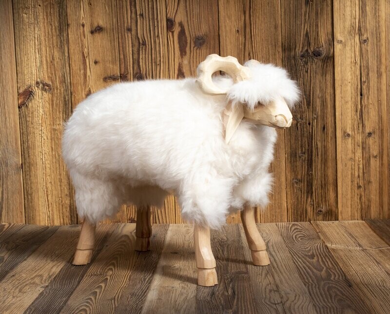 Wooly 'L'