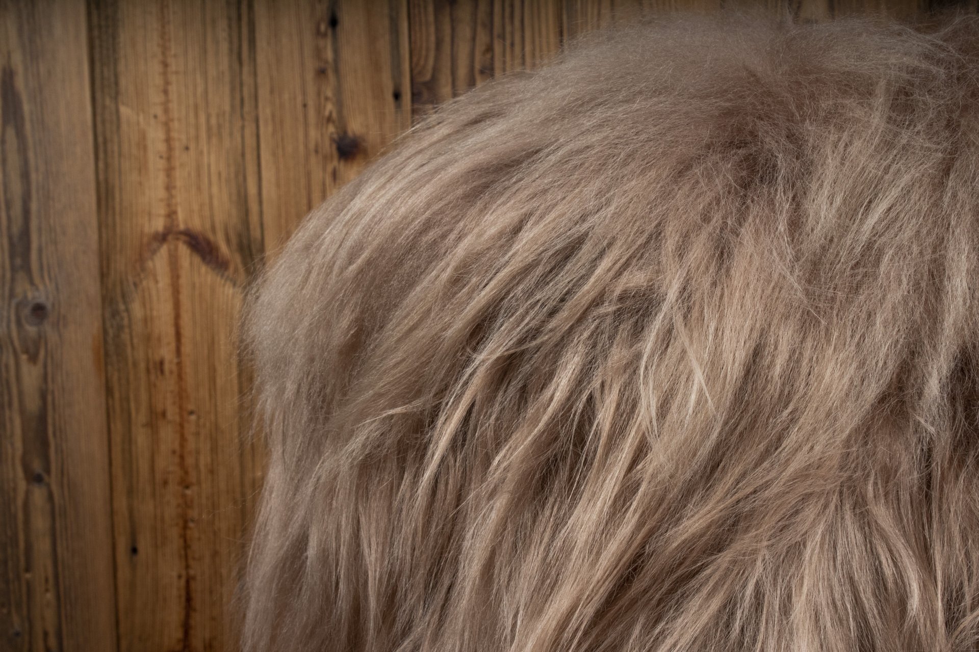 Icelandic Sheepskin Bar stool