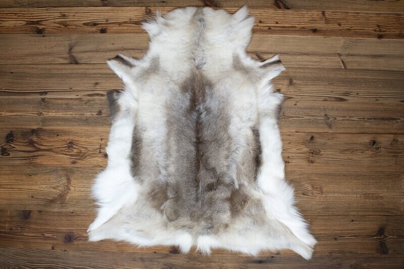Reindeer Hide 02