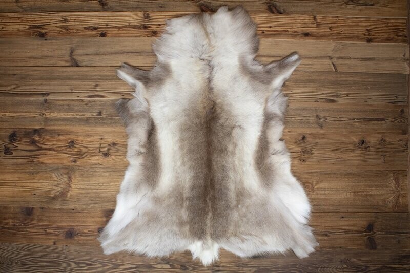 Reindeer Hide 01