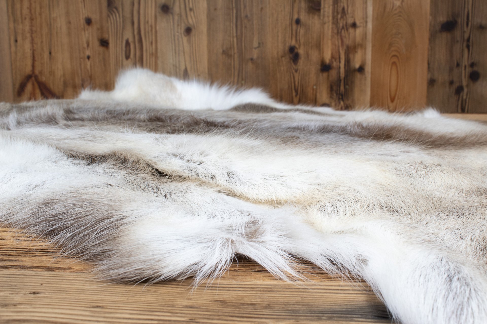 Reindeer Hide 02