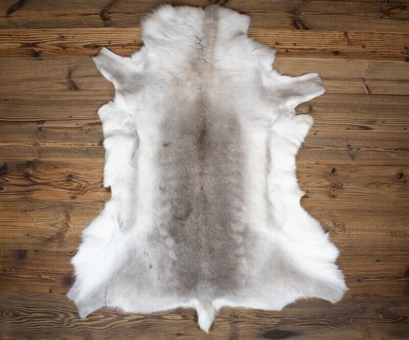 Reindeer Hide 03