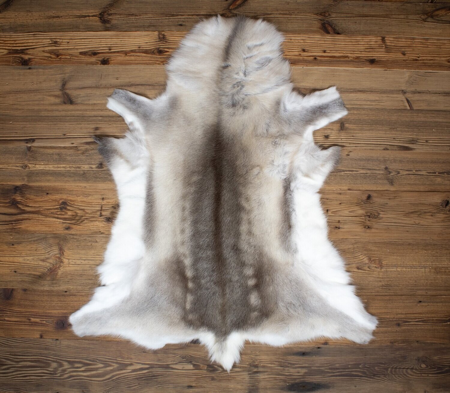 Reindeer Hide 04