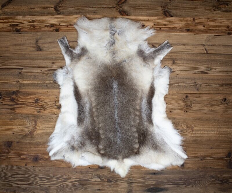Reindeer Hide 06