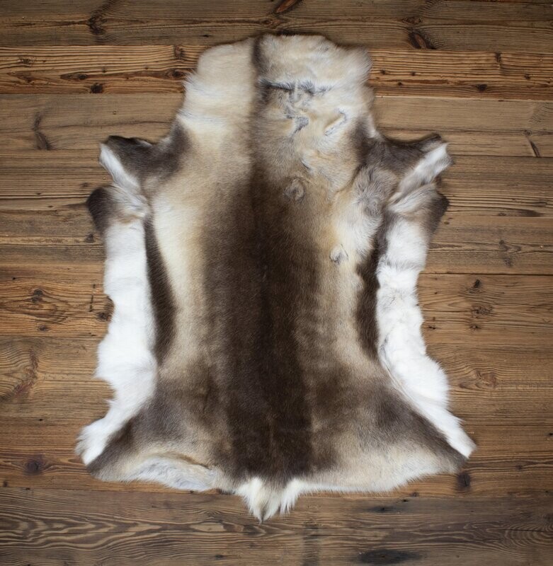 Reindeer Hide 05
