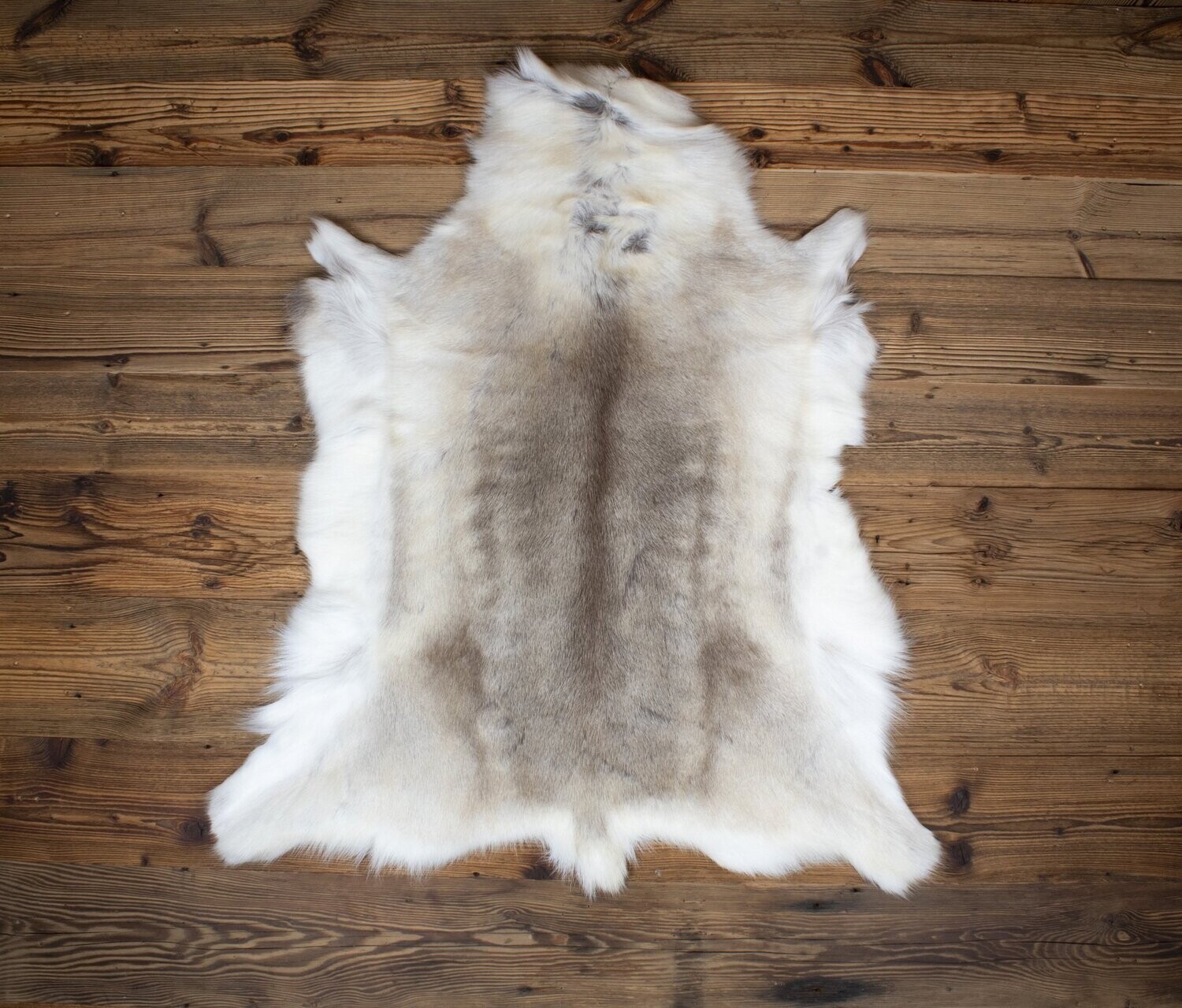 Reindeer Hide 08