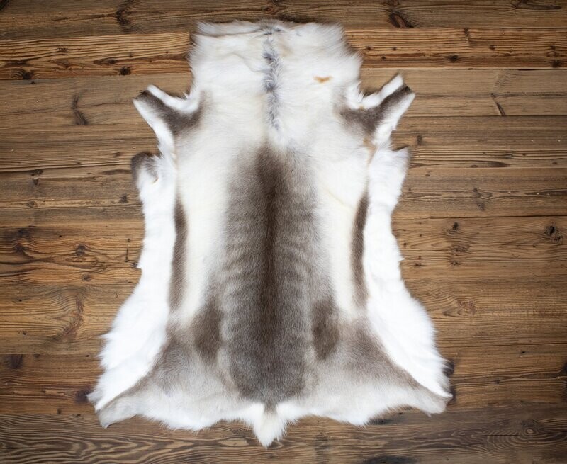 Reindeer Hide 09