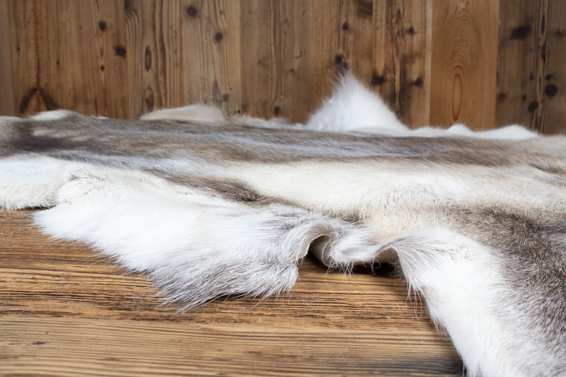 Reindeer Hide 06