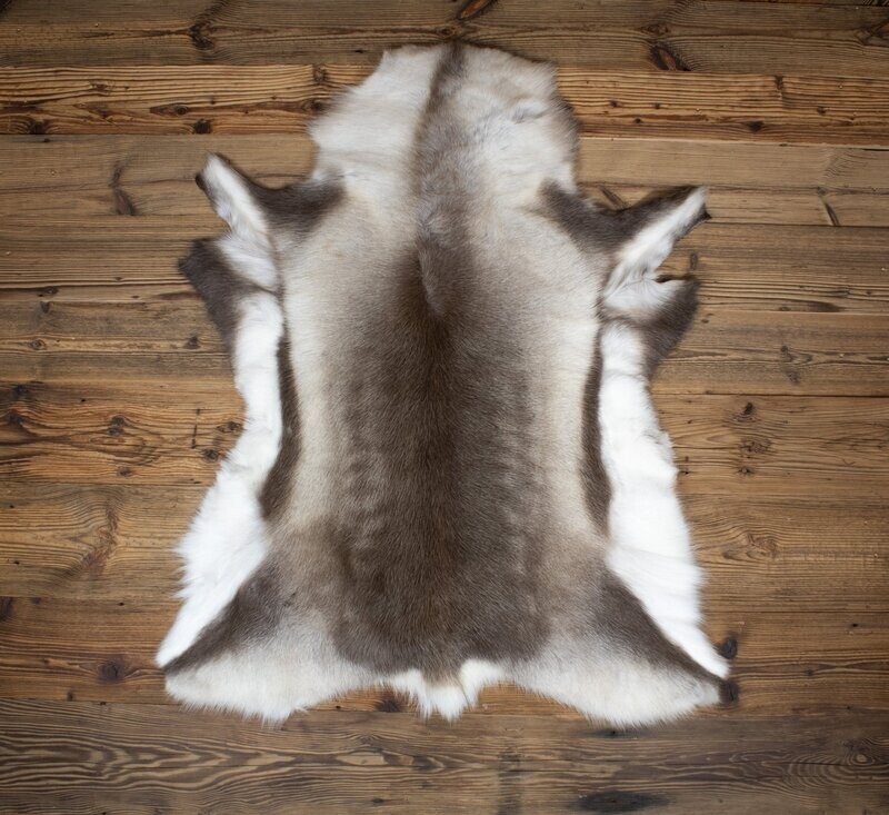Reindeer Hide 07