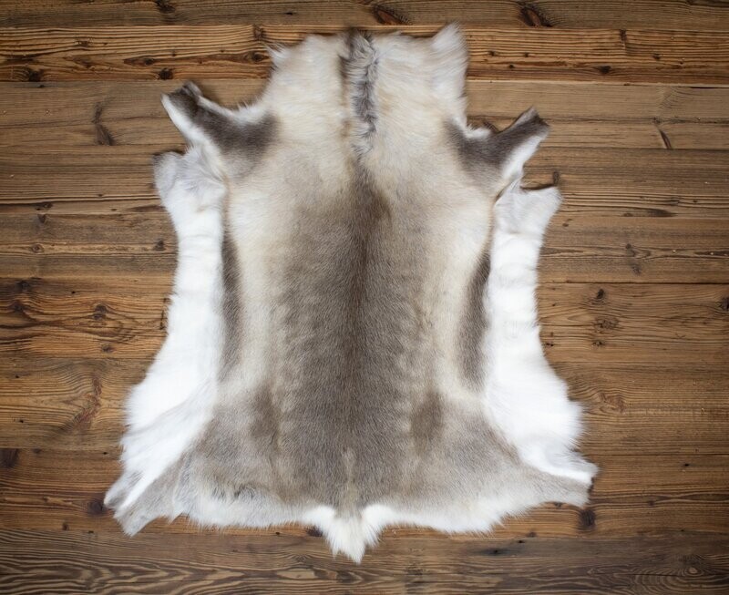 Reindeer Hide 10