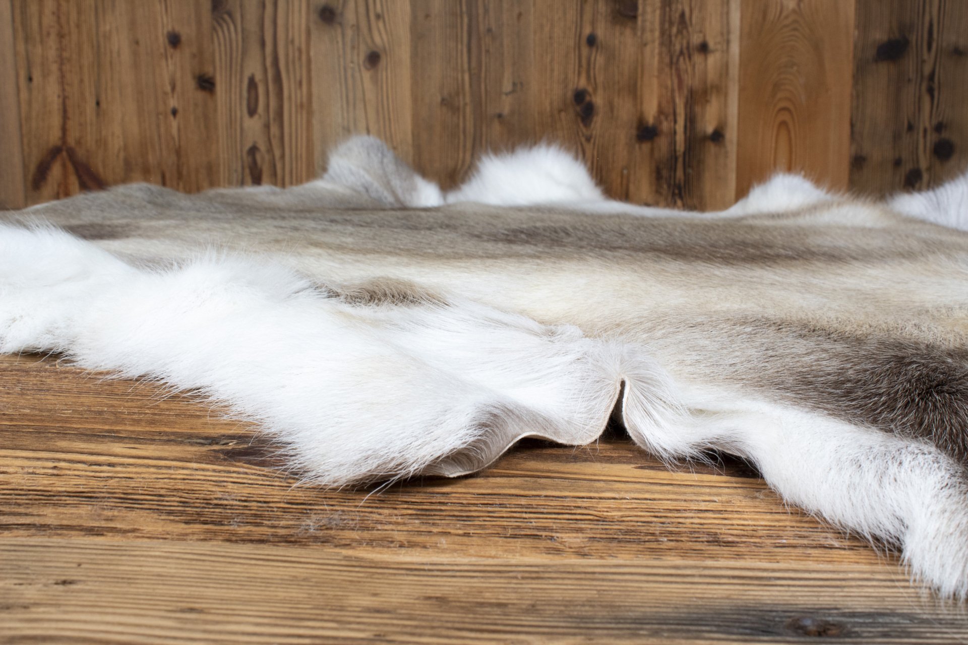 Reindeer Hide 10