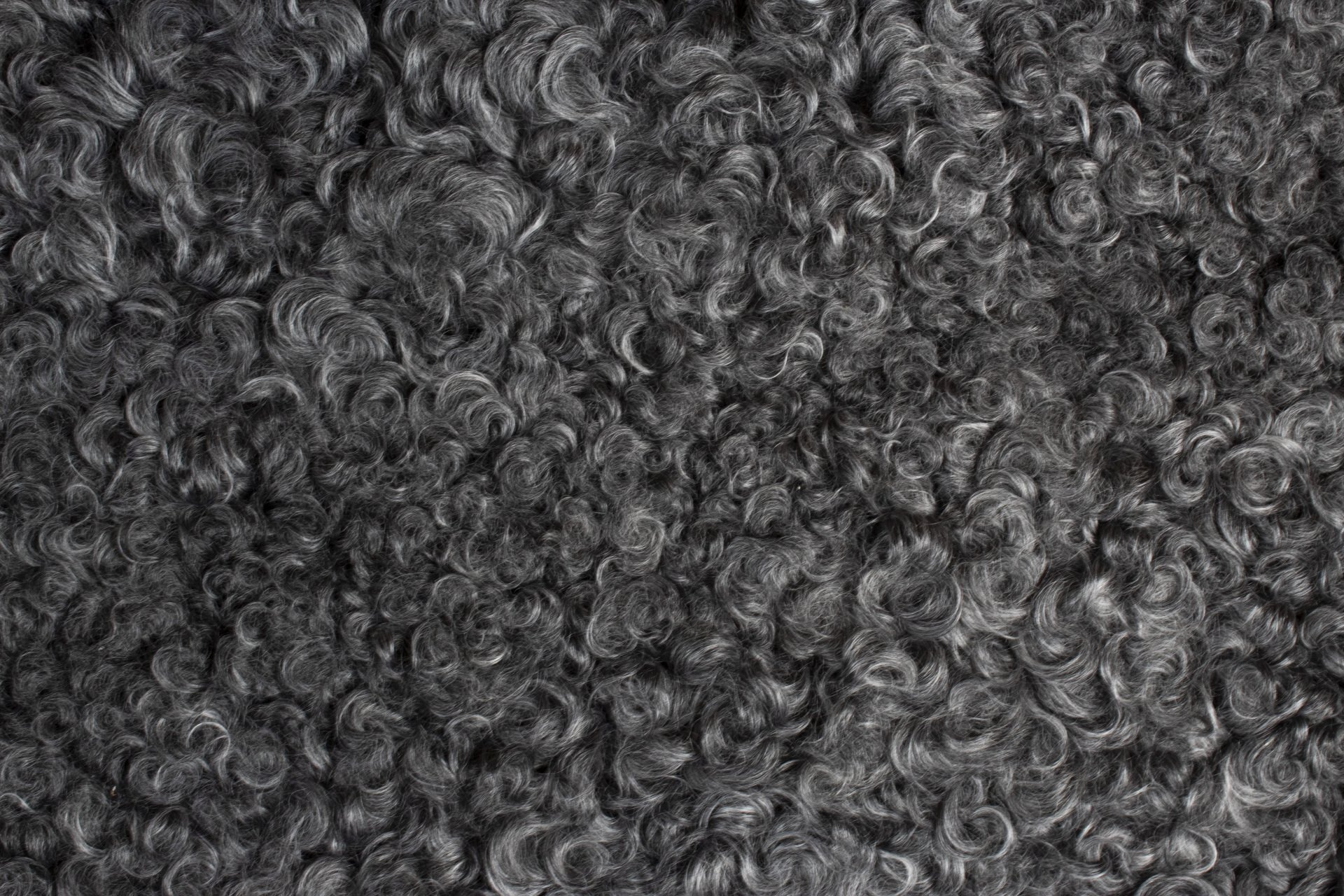 Grey Gotland Sheepskin #17