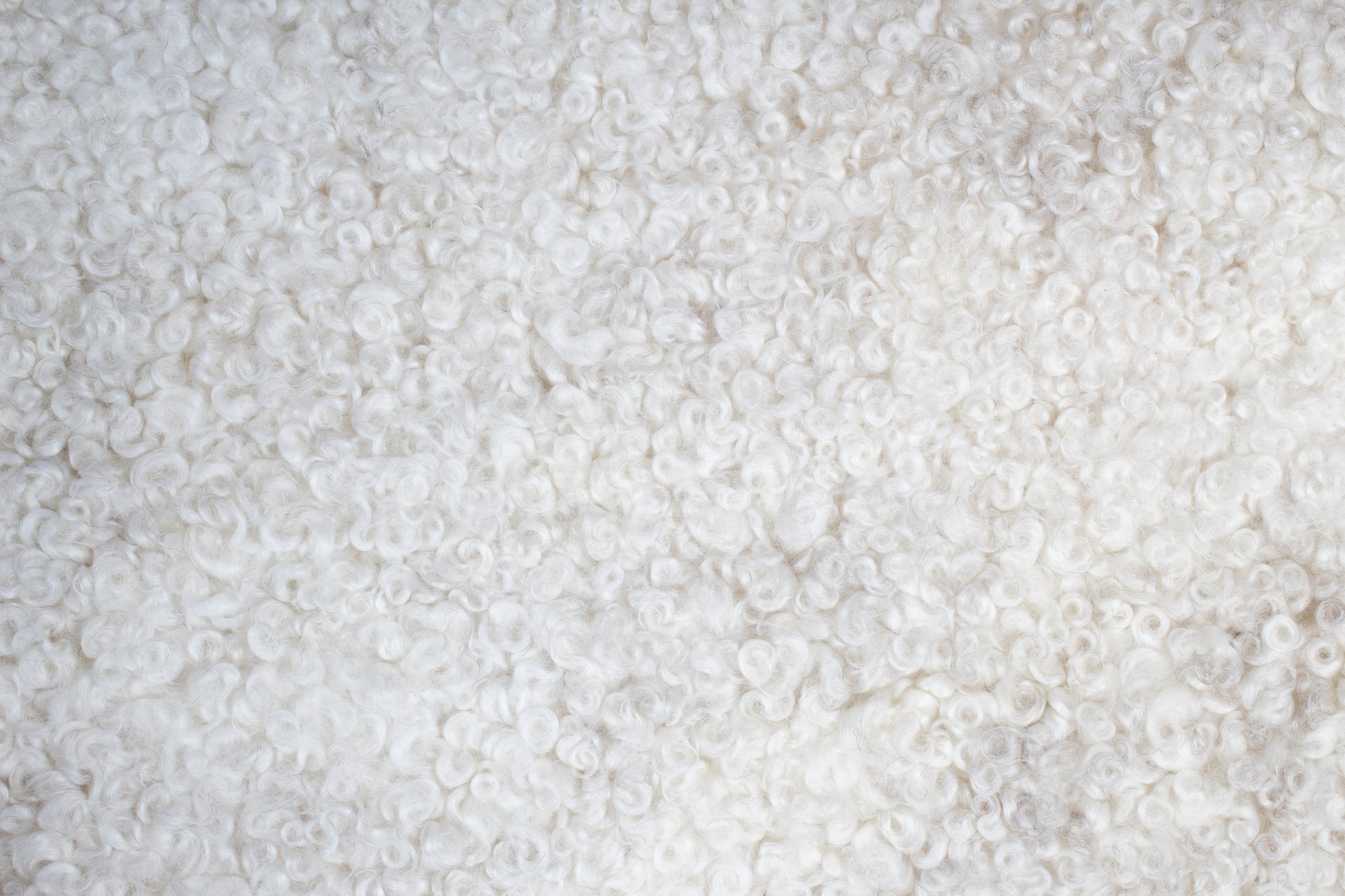 White Gotland Sheepskin #3