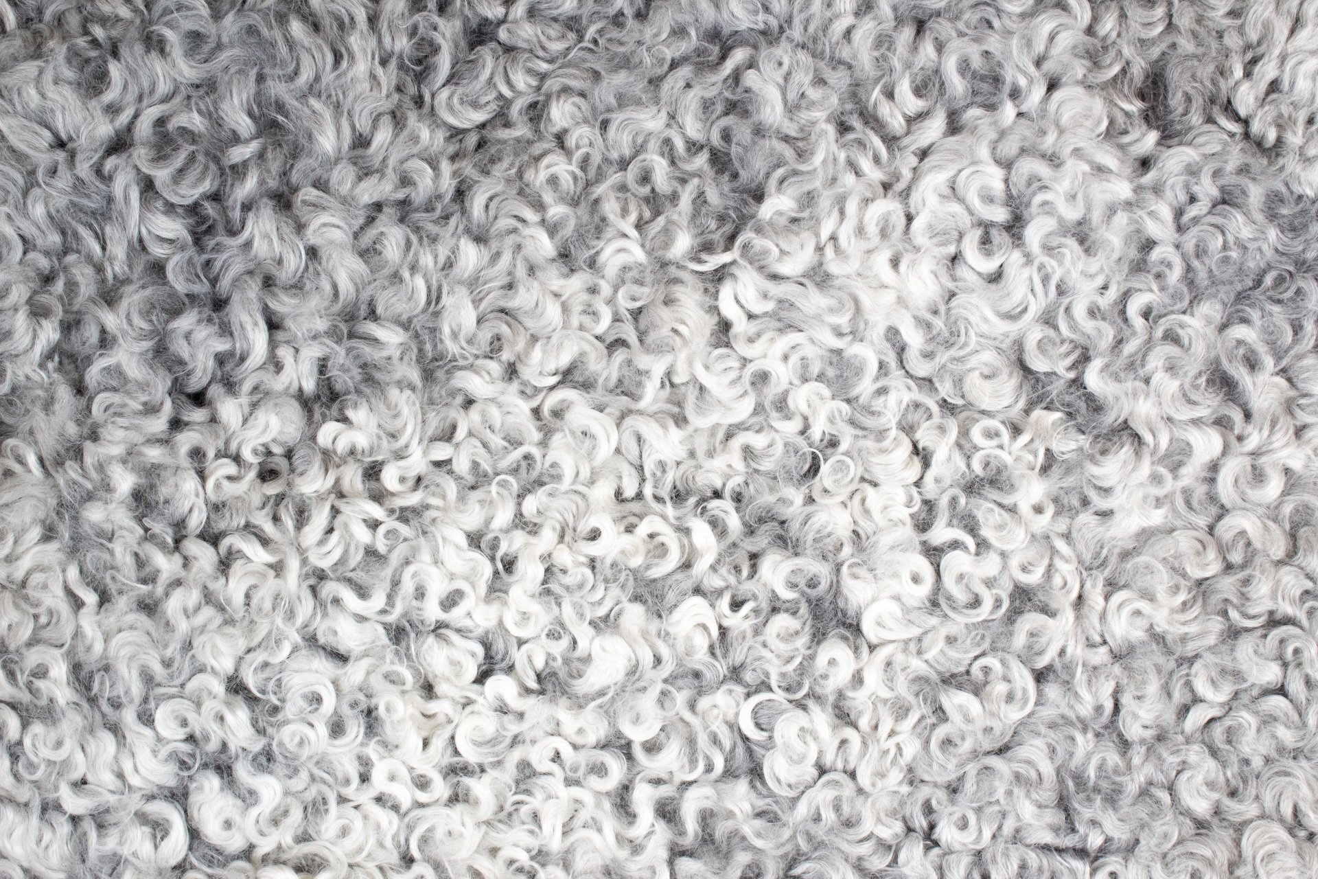 Grey Gotland Sheepskin #18