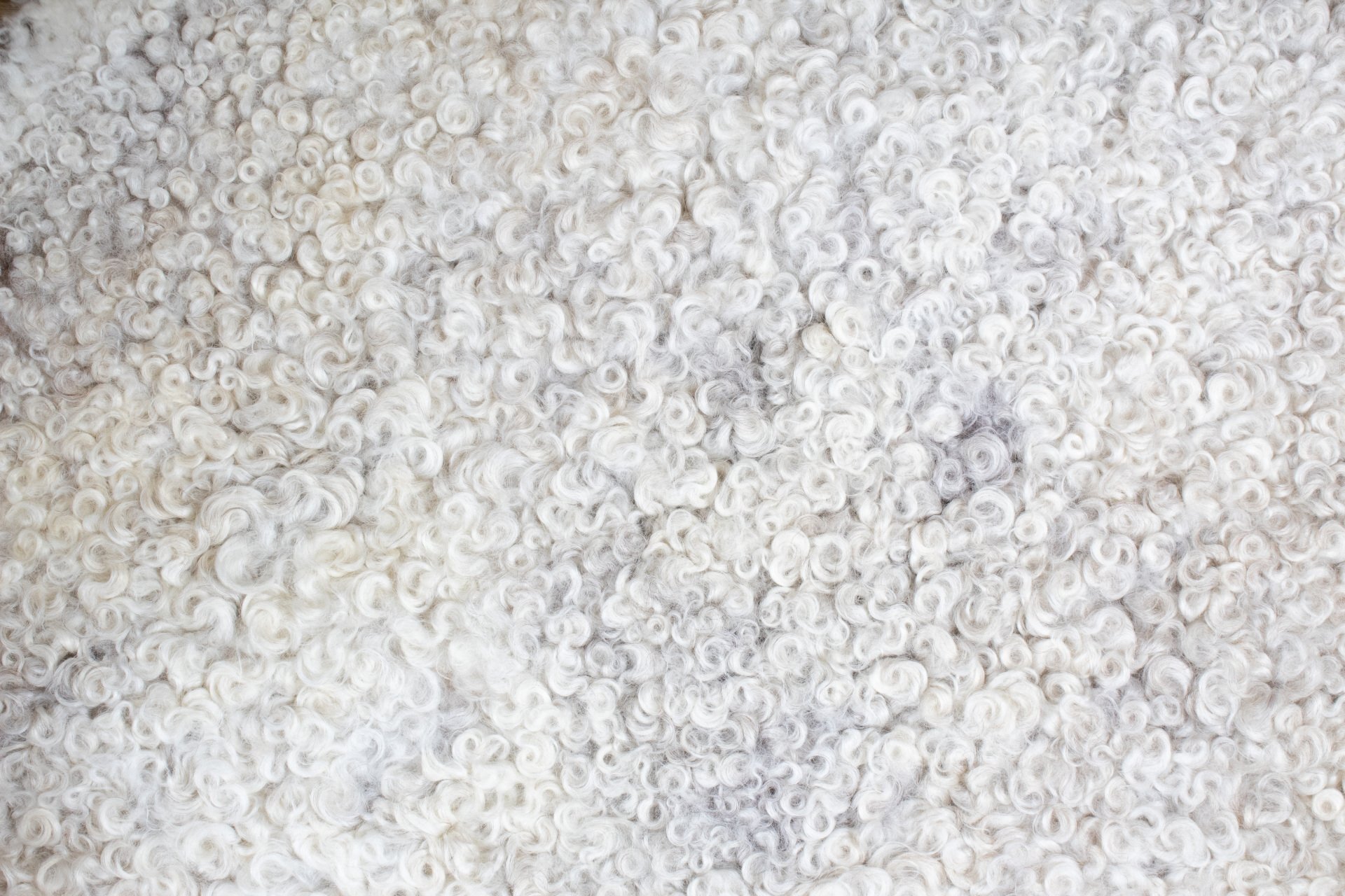 White Gotland Sheepskin #2