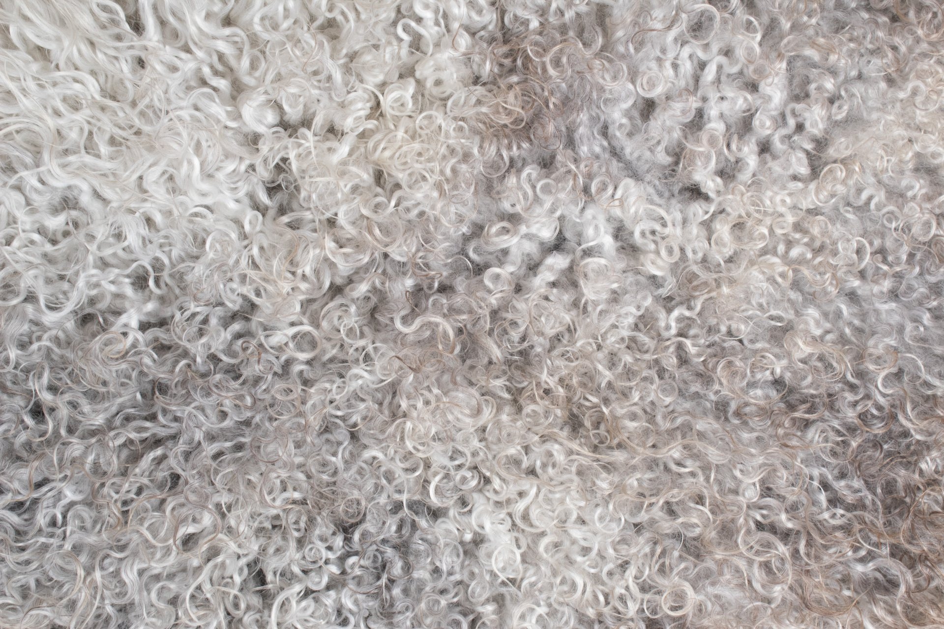 Grey Gotland 'long wool' Sheepskin #7