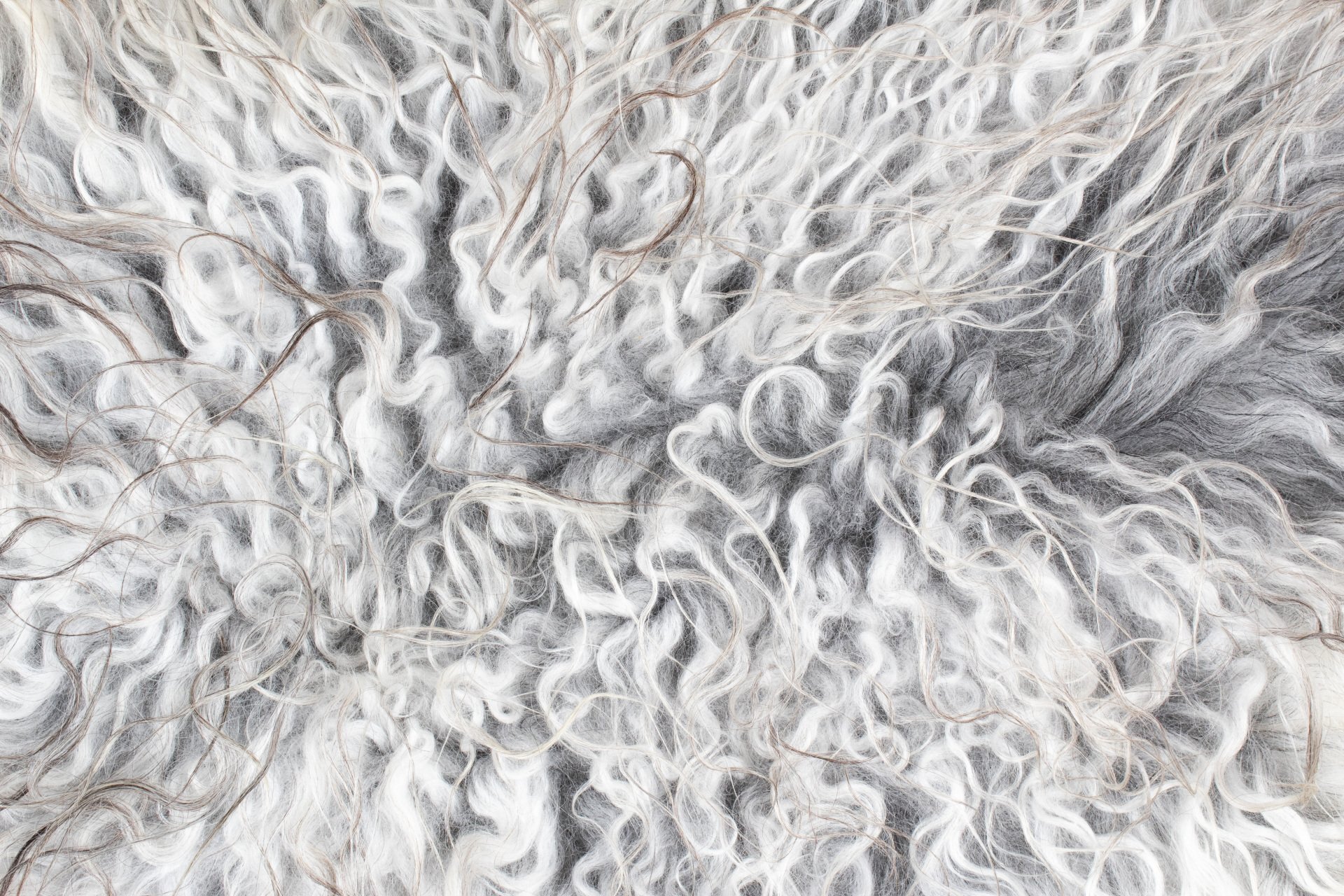 Grey Gotland 'long wool' Sheepskin #10