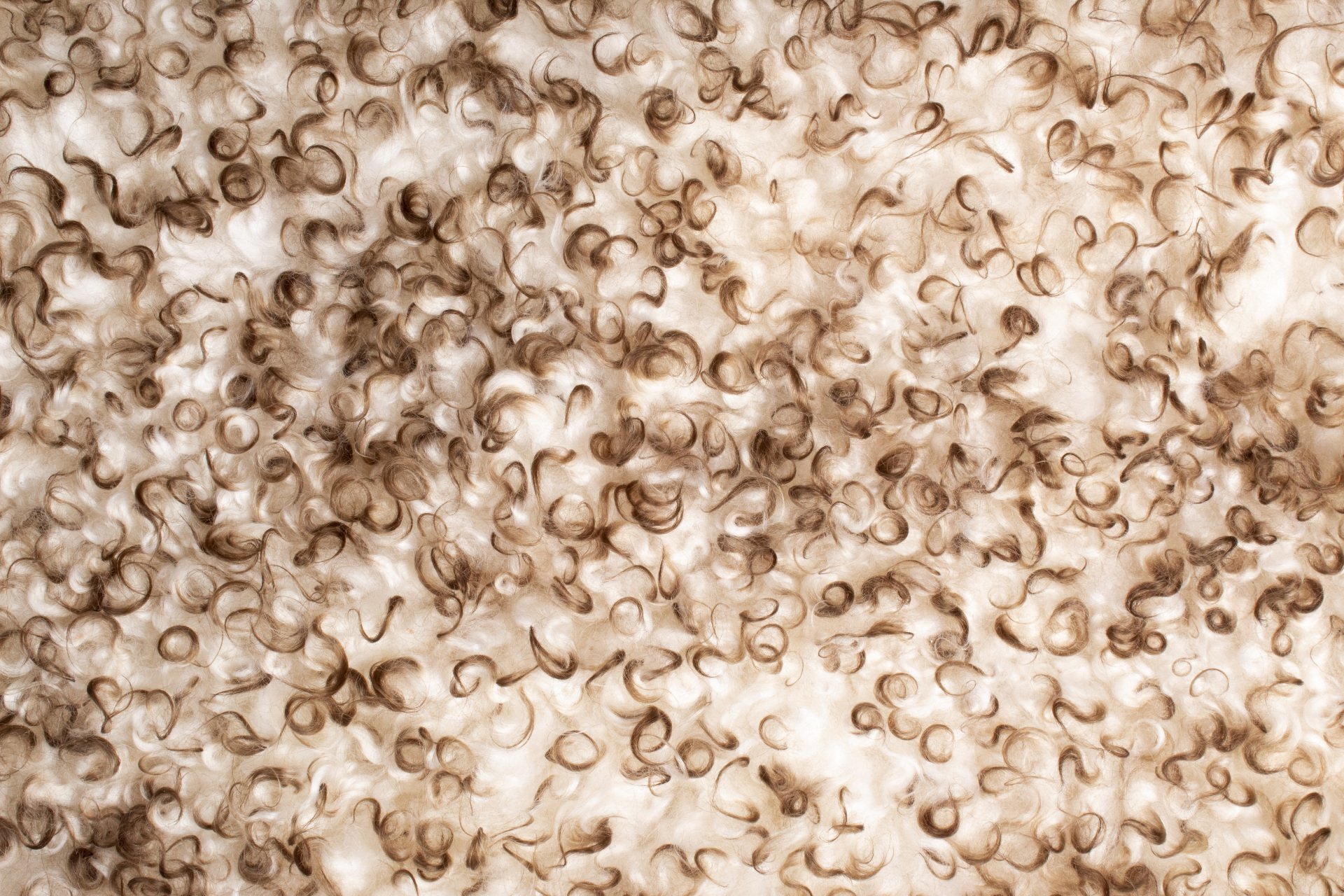 White&Brown Gotland Sheepskin#2