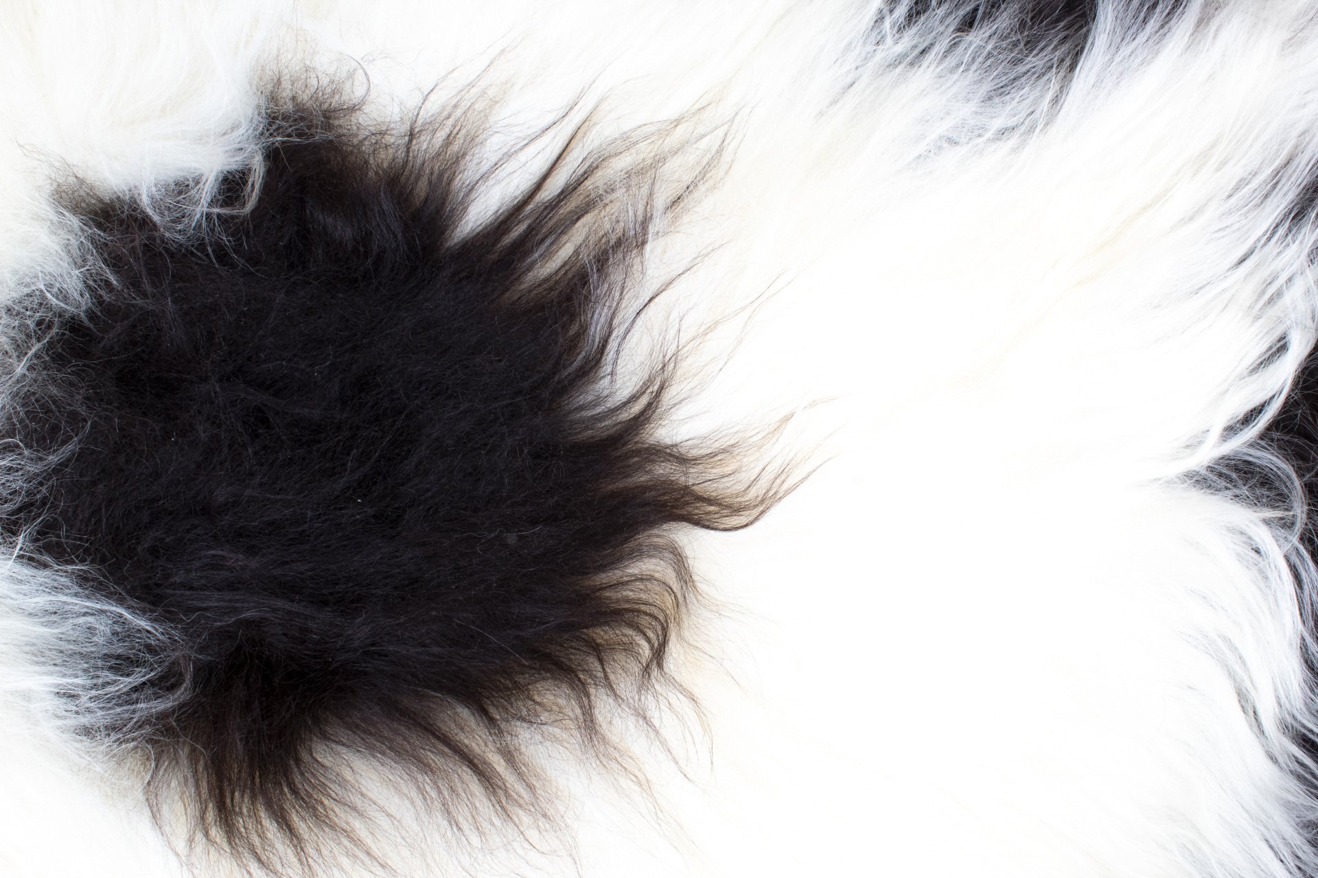 Natural Black&White Icelandic Sheepskin #6