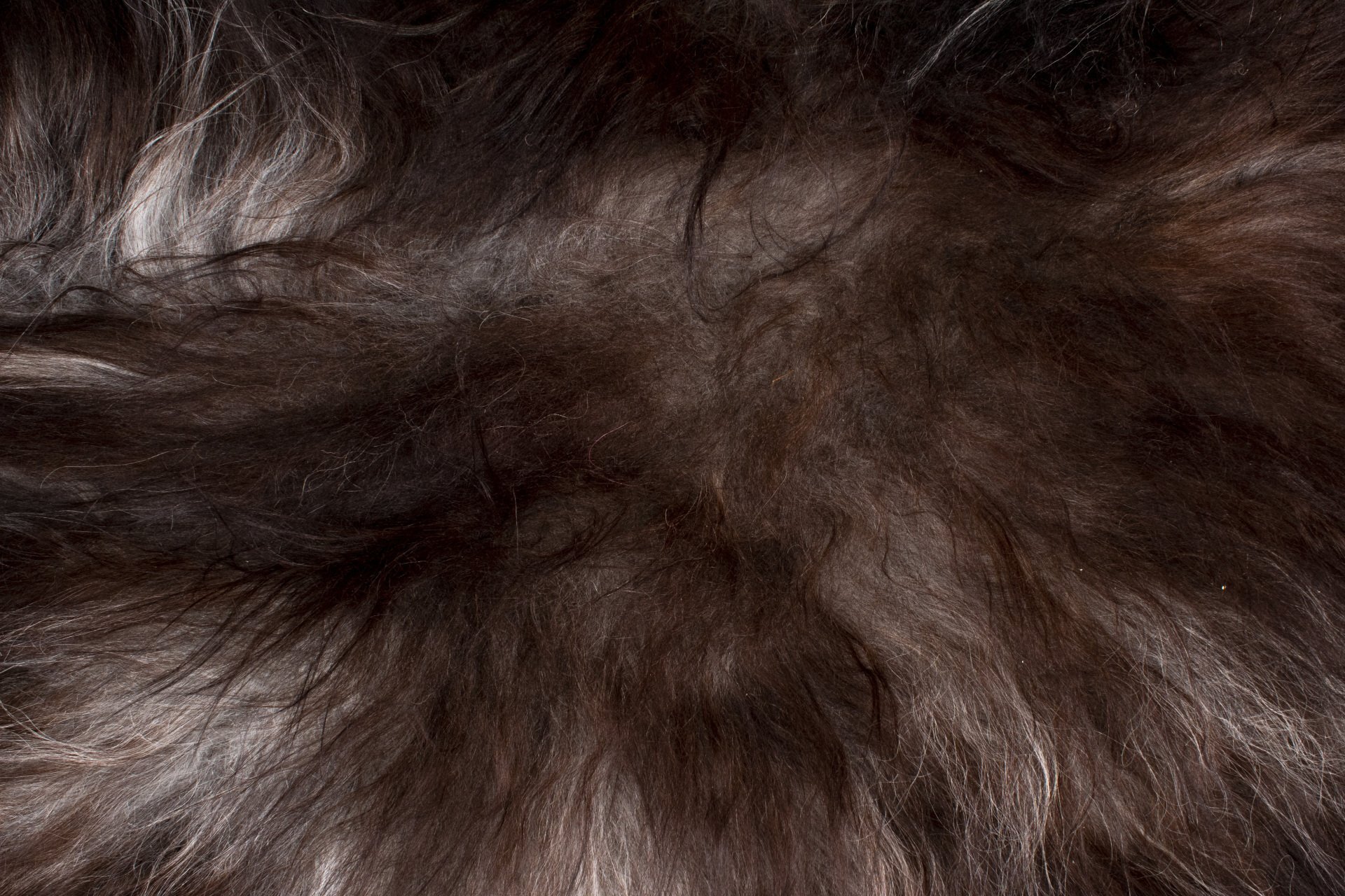 Natural Dark Grey Icelandic Sheepskin #5