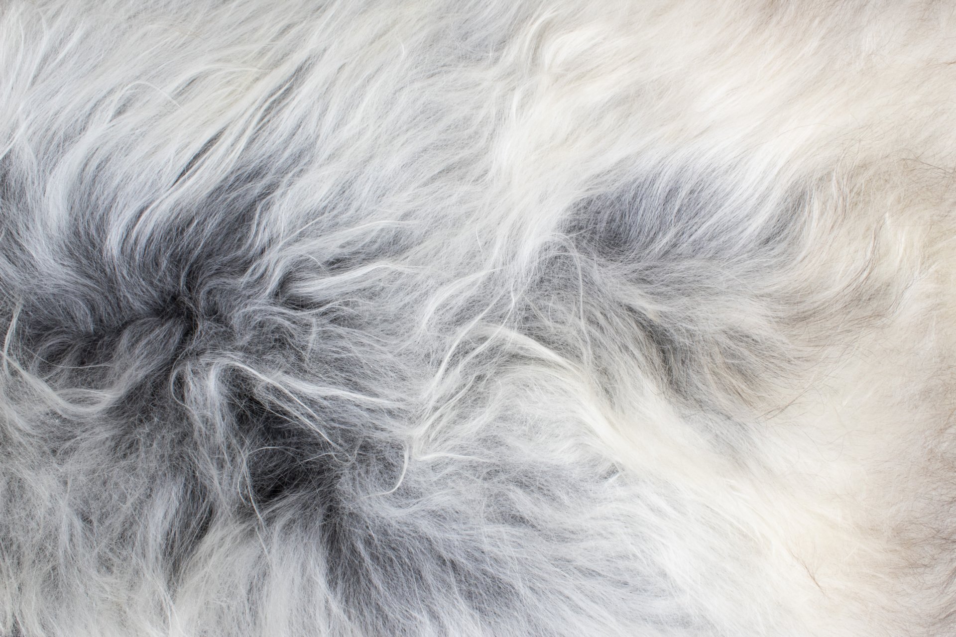 Natural Grey Icelandic Sheepskin #2