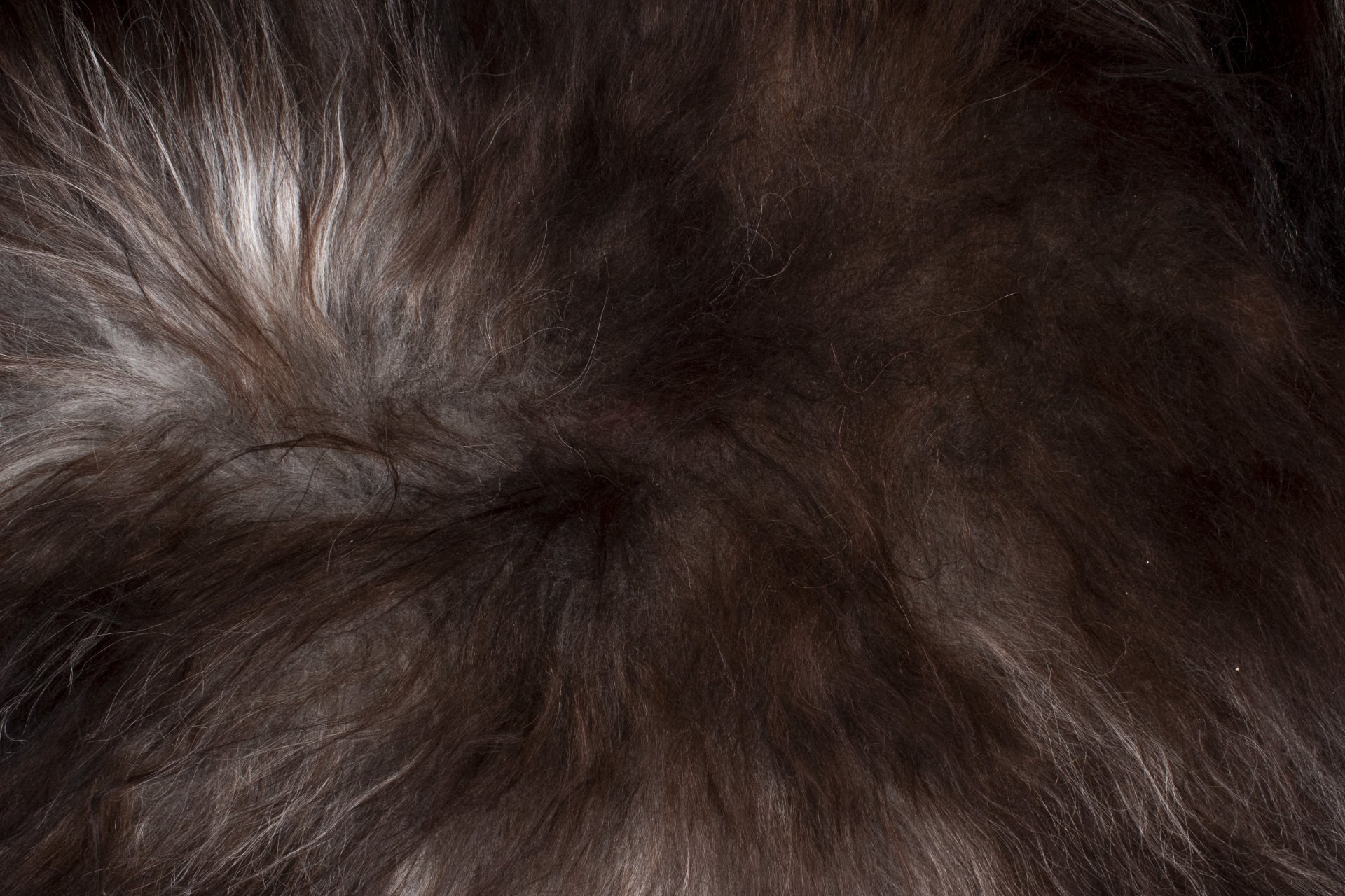 Natural Dark Grey Icelandic Sheepskin #4