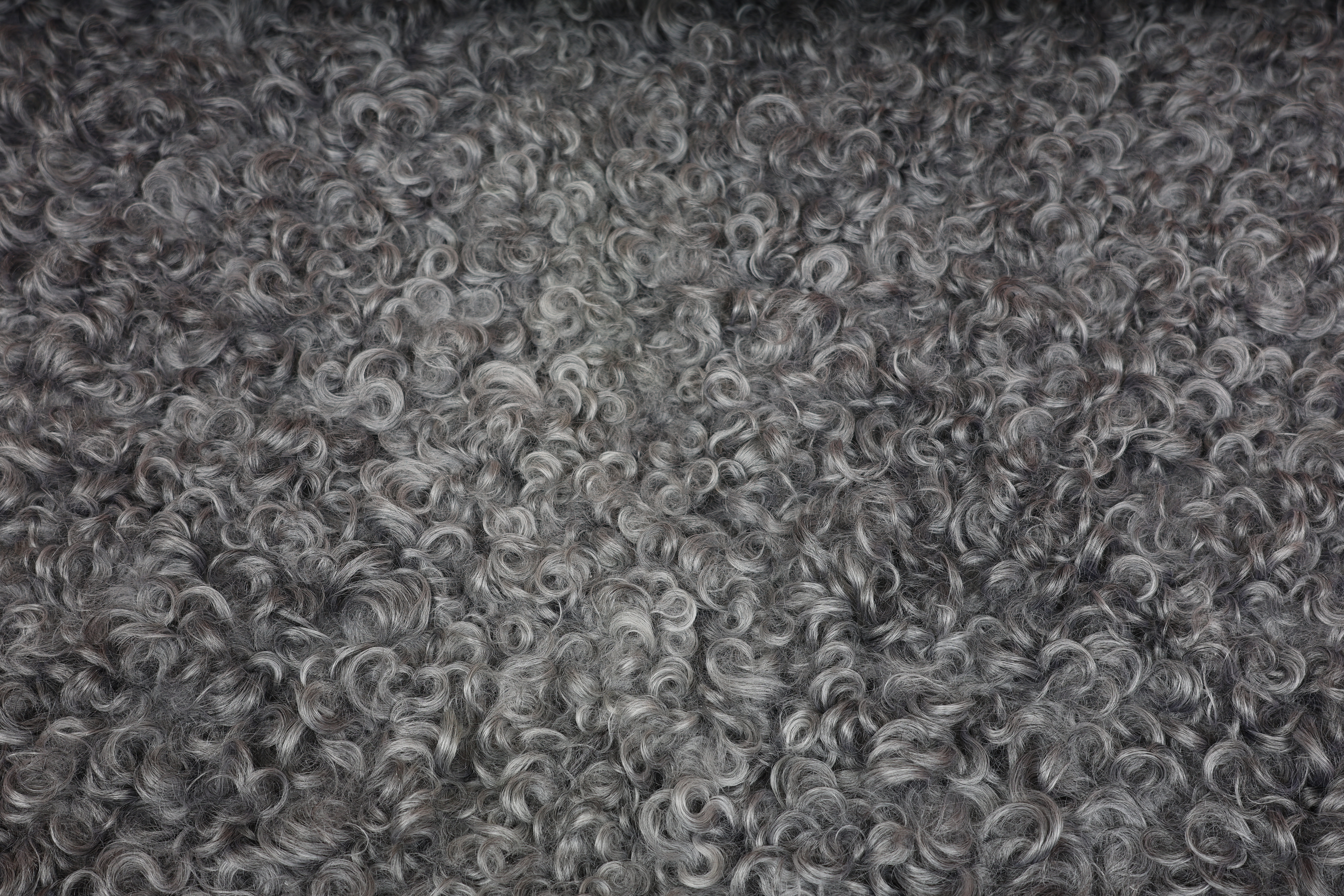 Grey Gotland Sheepskin #1