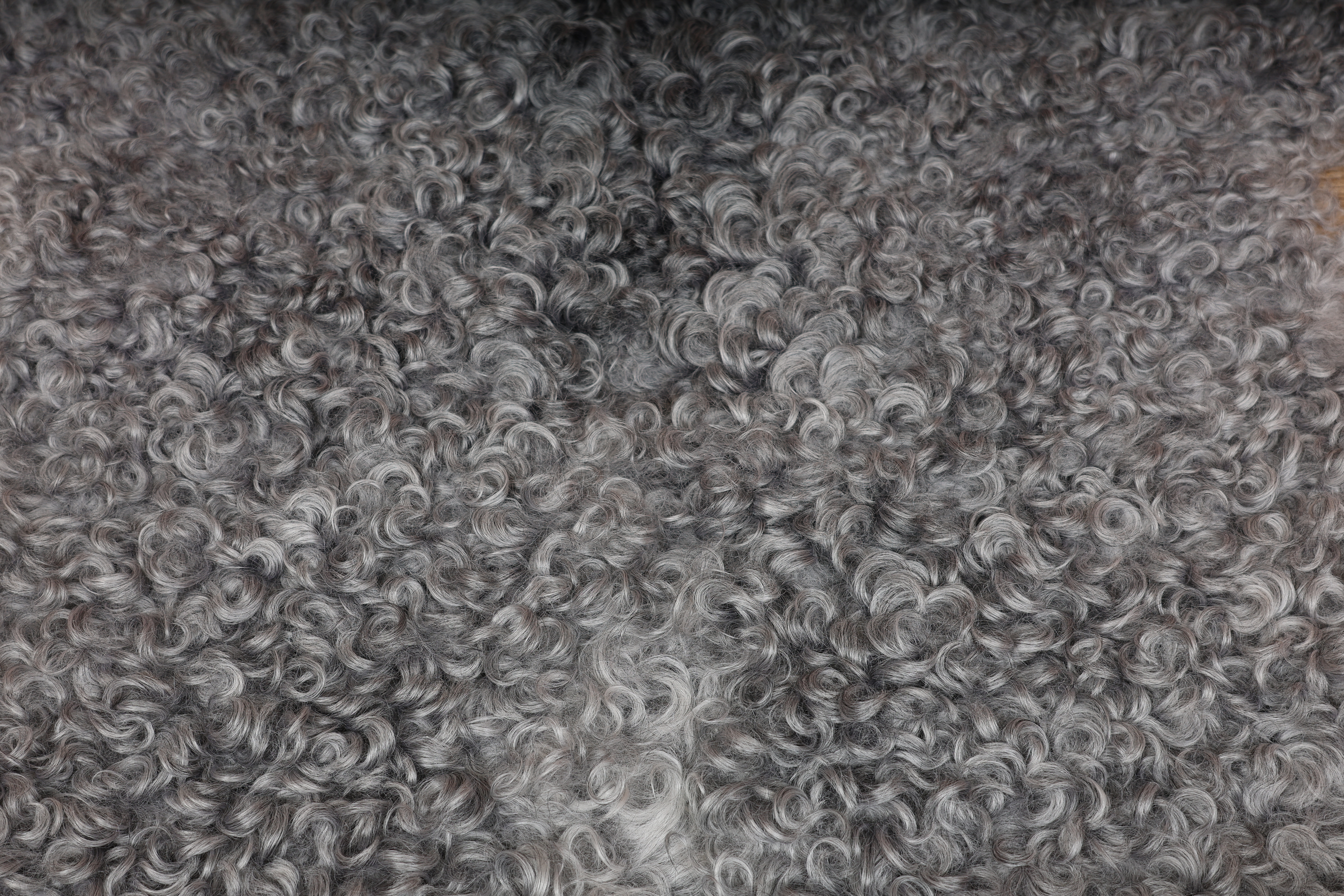 Grey Gotland Sheepskin #6